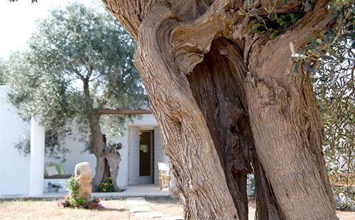 Hotel I Mulicchi Specchia